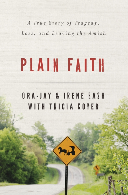 E-kniha Plain Faith Irene Eash