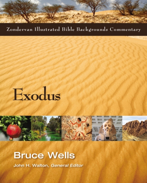 E-kniha Exodus Bruce Wells