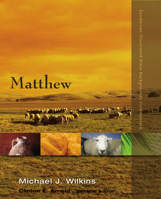 E-knjiga Matthew Michael J. Wilkins