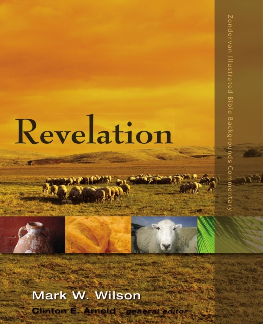 Libro electrónico Revelation Mark W. Wilson