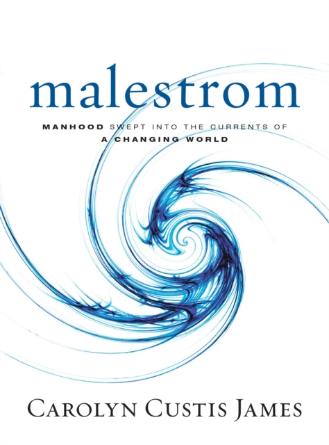 E-knjiga Malestrom Carolyn Custis James