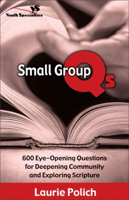 E-knjiga Small Group Qs Laurie Polich