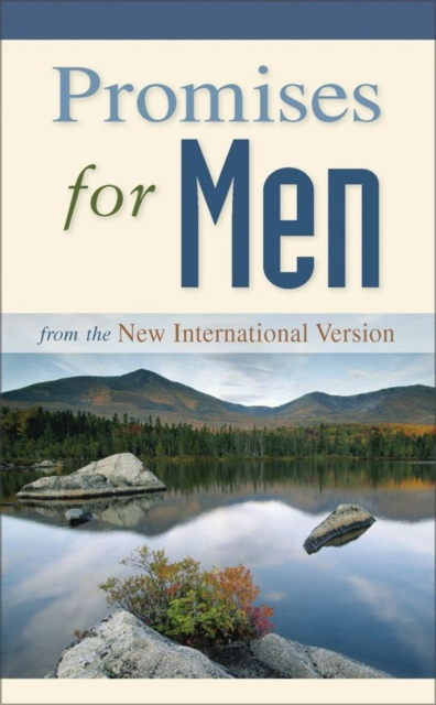 E-book Promises for Men Zondervan