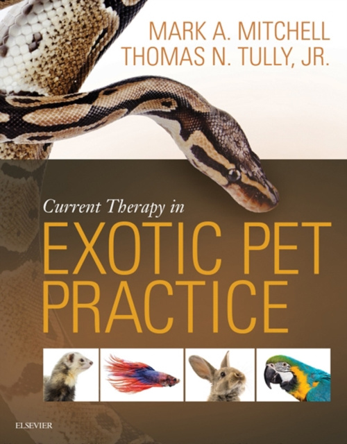 E-kniha Current Therapy in Exotic Pet Practice Mark Mitchell