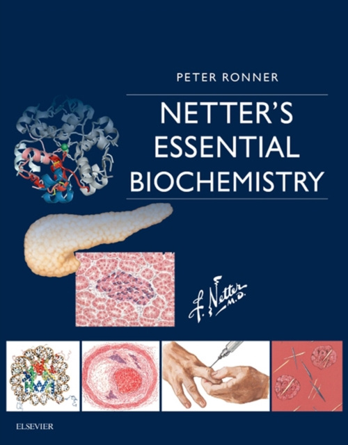E-kniha Netter's Essential Biochemistry E-Book Peter Ronner