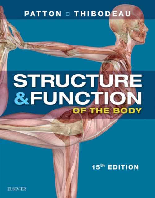 E-book Structure & Function of the Body - E-Book Kevin T. Patton