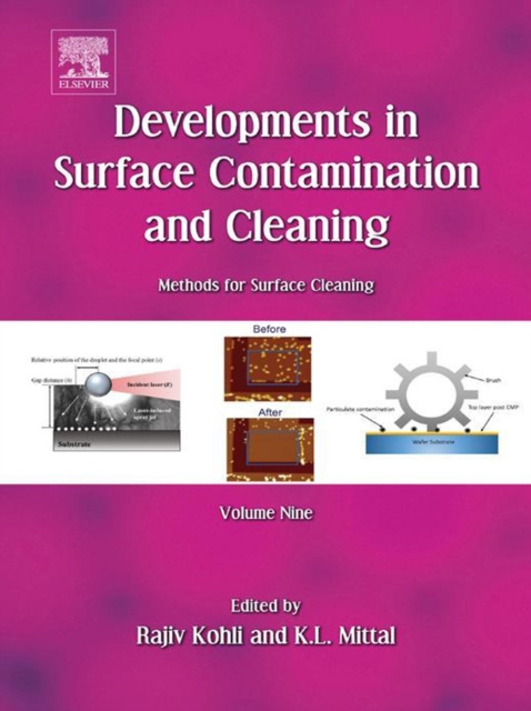 E-book Developments in Surface Contamination and Cleaning: Methods for Surface Cleaning Rajiv Kohli