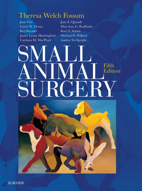 E-Book Small Animal Surgery E-Book Theresa Welch Fossum