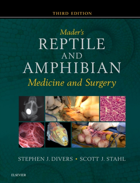 E-kniha Mader's Reptile and Amphibian Medicine and Surgery- E-Book Stephen J. Divers