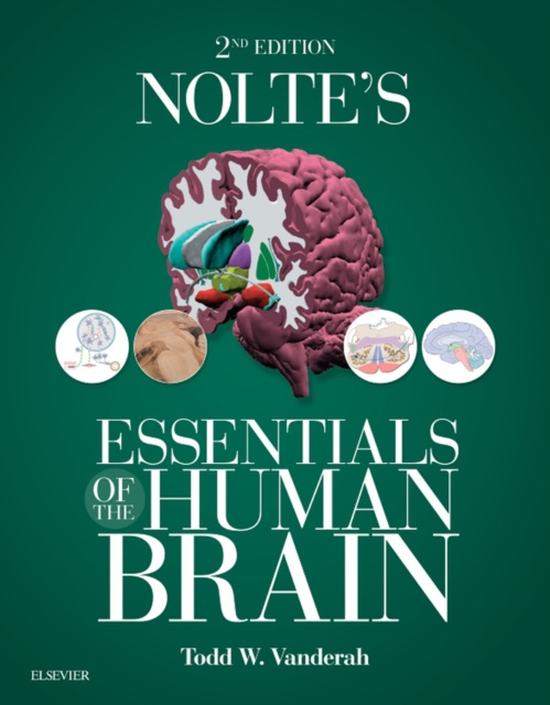 E-kniha Nolte's Essentials of the Human Brain E-Book Todd Vanderah