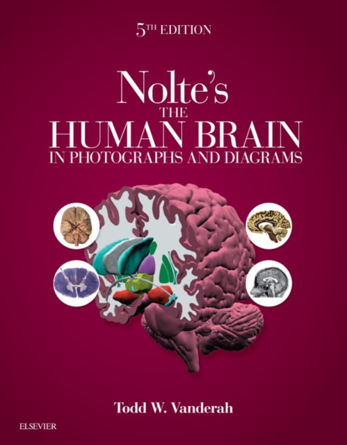 E-kniha Nolte's The Human Brain in Photographs and Diagrams E-Book Todd Vanderah