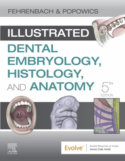 E-kniha Illustrated Dental Embryology, Histology, and Anatomy E-Book Margaret J. Fehrenbach