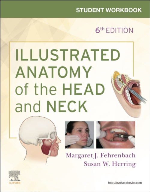 E-kniha Student Workbook for Illustrated Anatomy of the Head and Neck Margaret J. Fehrenbach