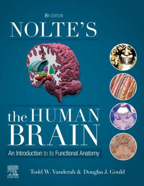 E-kniha Nolte's The Human Brain E-Book Todd Vanderah