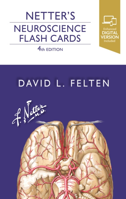 E-kniha Netter's Neuroscience Flash Cards David L. Felten