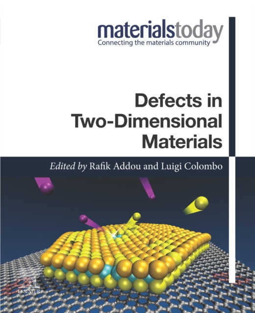 E-knjiga Defects in Two-Dimensional Materials Rafik Addou