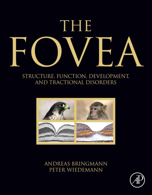 E-Book Fovea Andreas Bringmann
