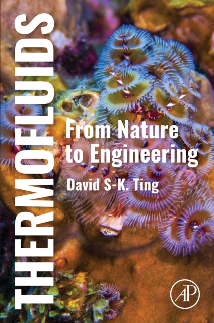 E-book Thermofluids David Ting