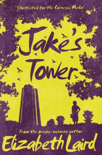 E-knjiga Jake's Tower Elizabeth Laird