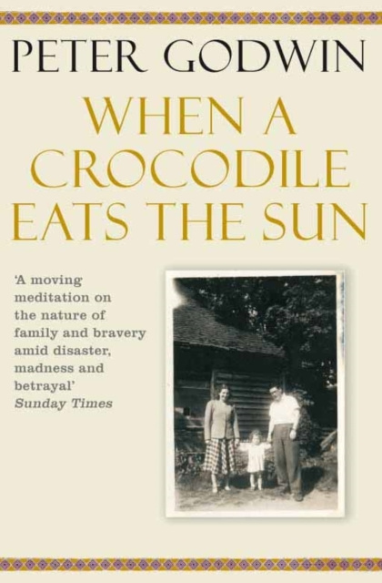 E-book When A Crocodile Eats the Sun Peter Godwin