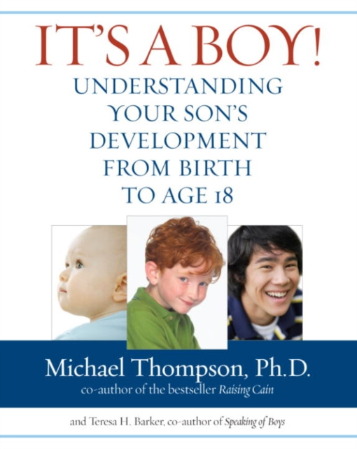 E-kniha It's a Boy! PhD Michael Thompson