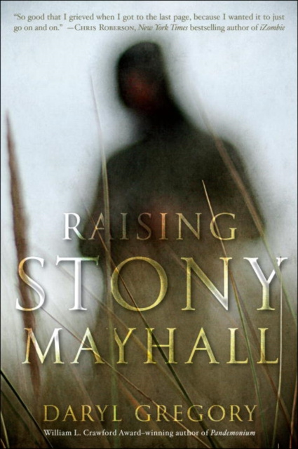 E-knjiga Raising Stony Mayhall Daryl Gregory