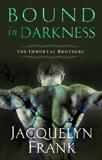 E-knjiga Bound in Darkness Jacquelyn Frank