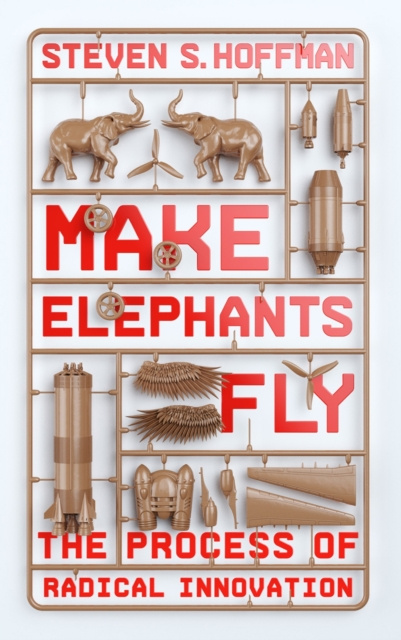 E-knjiga Make Elephants Fly Steven S. Hoffman