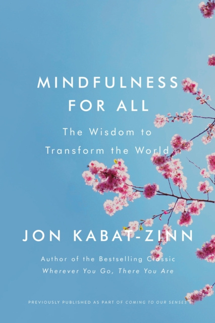E-kniha Mindfulness for All Jon Kabat-Zinn
