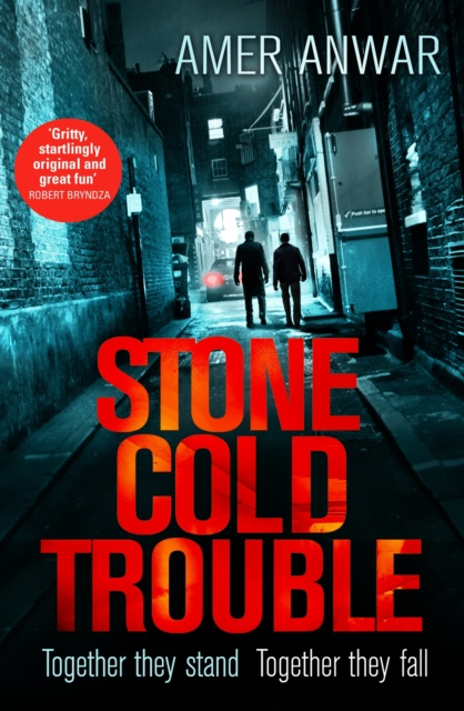 E-book Stone Cold Trouble Amer Anwar
