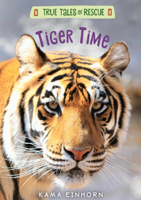 ebook Tiger Time Kama Einhorn