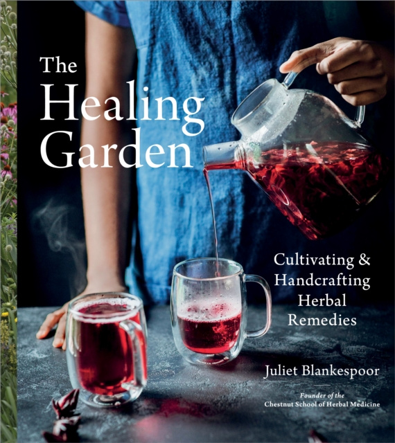 E-kniha Healing Garden Juliet Blankespoor