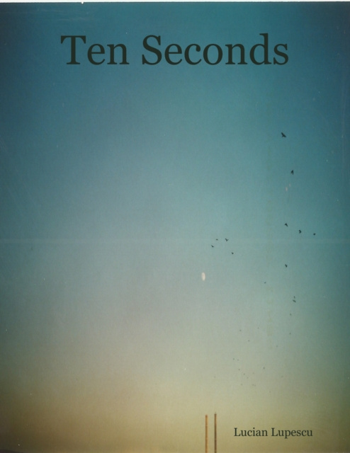 E-knjiga Ten Seconds Lupescu Lucian Lupescu