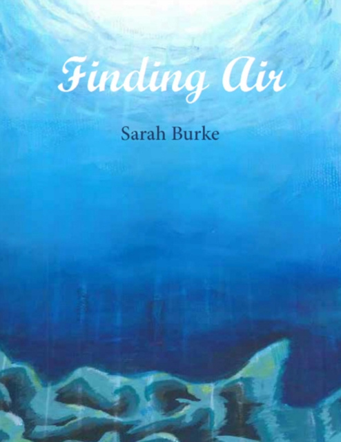 E-knjiga Finding Air Burke Sarah Burke