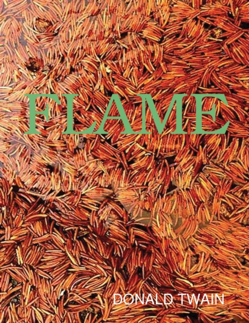 E-knjiga Flame Twain Donald Twain