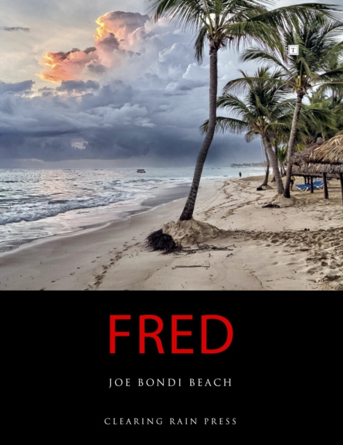 E-knjiga Fred Beach Joe Bondi Beach