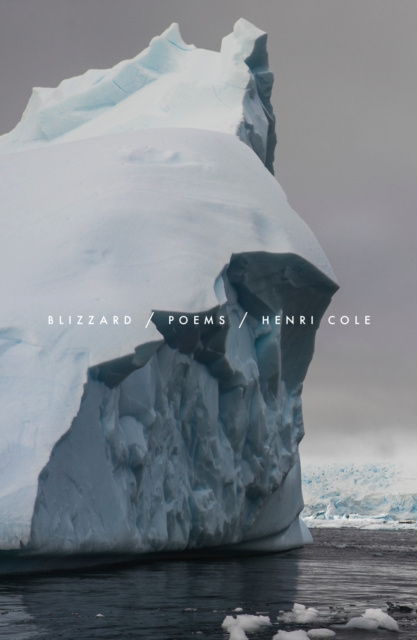 E-knjiga Blizzard Henri Cole