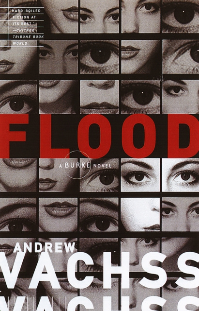 E-book Flood Andrew Vachss