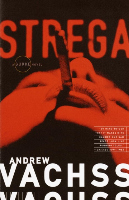E-book Strega Andrew Vachss
