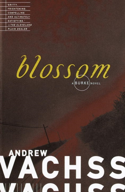E-book Blossom Andrew Vachss