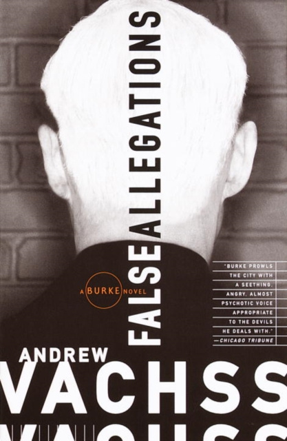 E-knjiga False Allegations Andrew Vachss