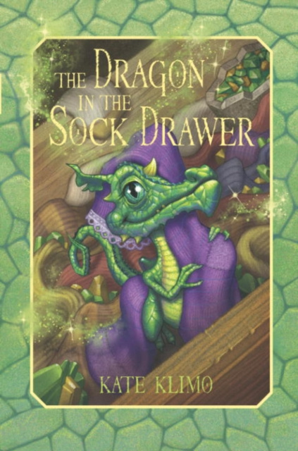 E-Book Dragon Keepers #1: The Dragon in the Sock Drawer Kate Klimo