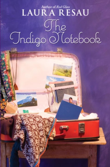 E-Book Indigo Notebook Laura Resau