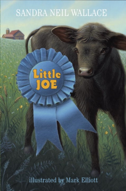 E-book Little Joe Sandra Neil Wallace