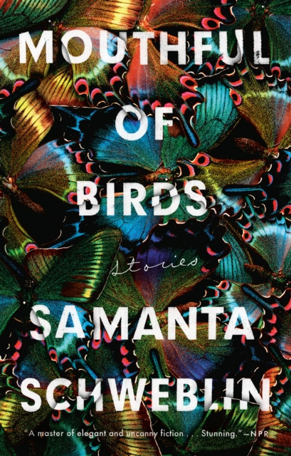 E-kniha Mouthful of Birds Samanta Schweblin