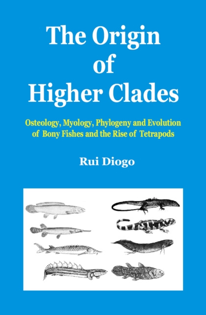 E-kniha Origin of Higher Clades Rui Diogo