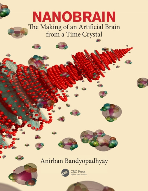E-knjiga Nanobrain Anirban Bandyopadhyay