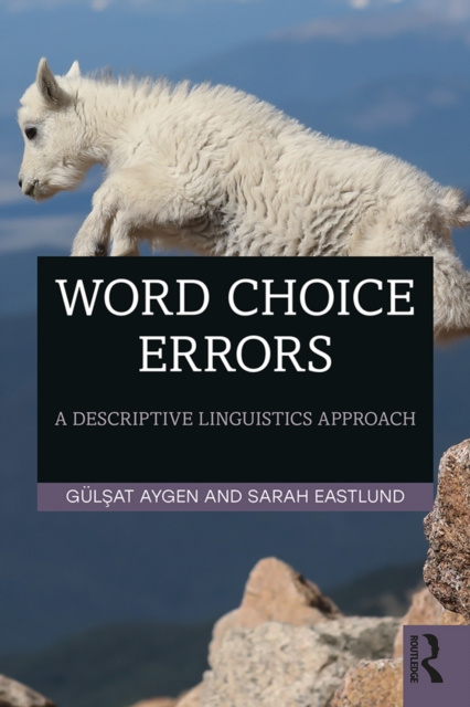 E-knjiga Word Choice Errors Gulsat Aygen