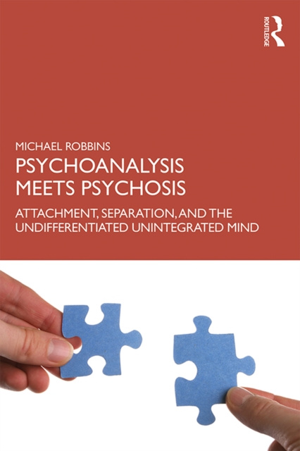 E-knjiga Psychoanalysis Meets Psychosis Michael Robbins