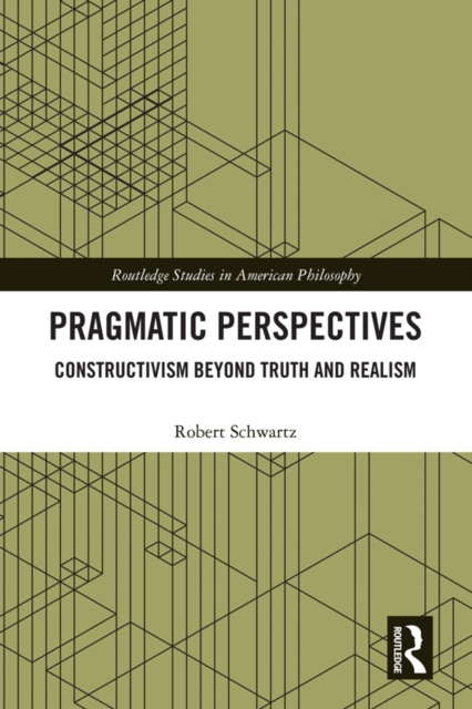 E-kniha Pragmatic Perspectives Robert Schwartz